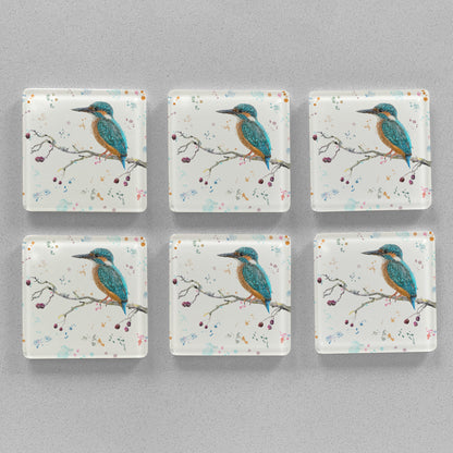 NEW! "On the Lookout" The Kingfisher Premium Glass Coasters - Andy Thomas Artworks