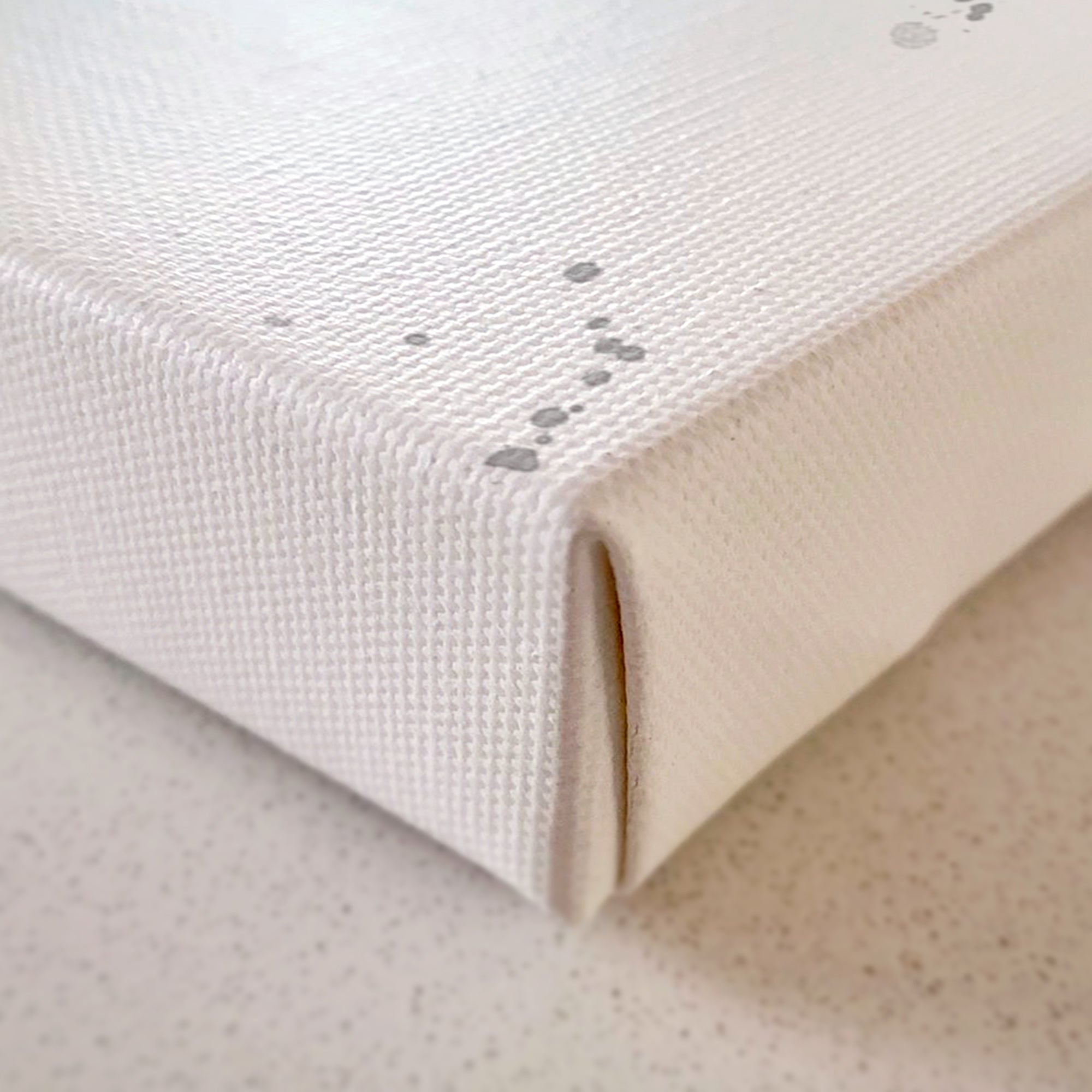 NEW! "On the Lookout" The Kingfisher (grey background)  Canvas Print - Andy Thomas Artworks