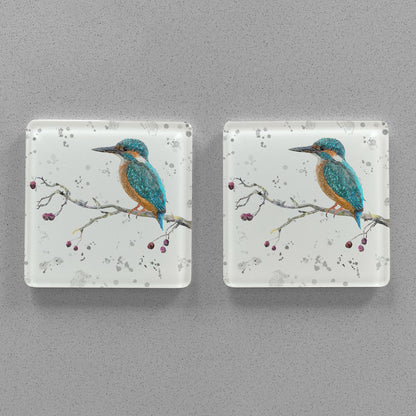NEW! "On the Lookout" The Kingfisher (grey background) Premium Glass Coasters - Andy Thomas Artworks
