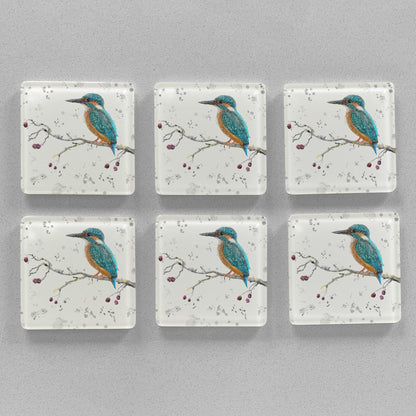 NEW! "On the Lookout" The Kingfisher (grey background) Premium Glass Coasters - Andy Thomas Artworks