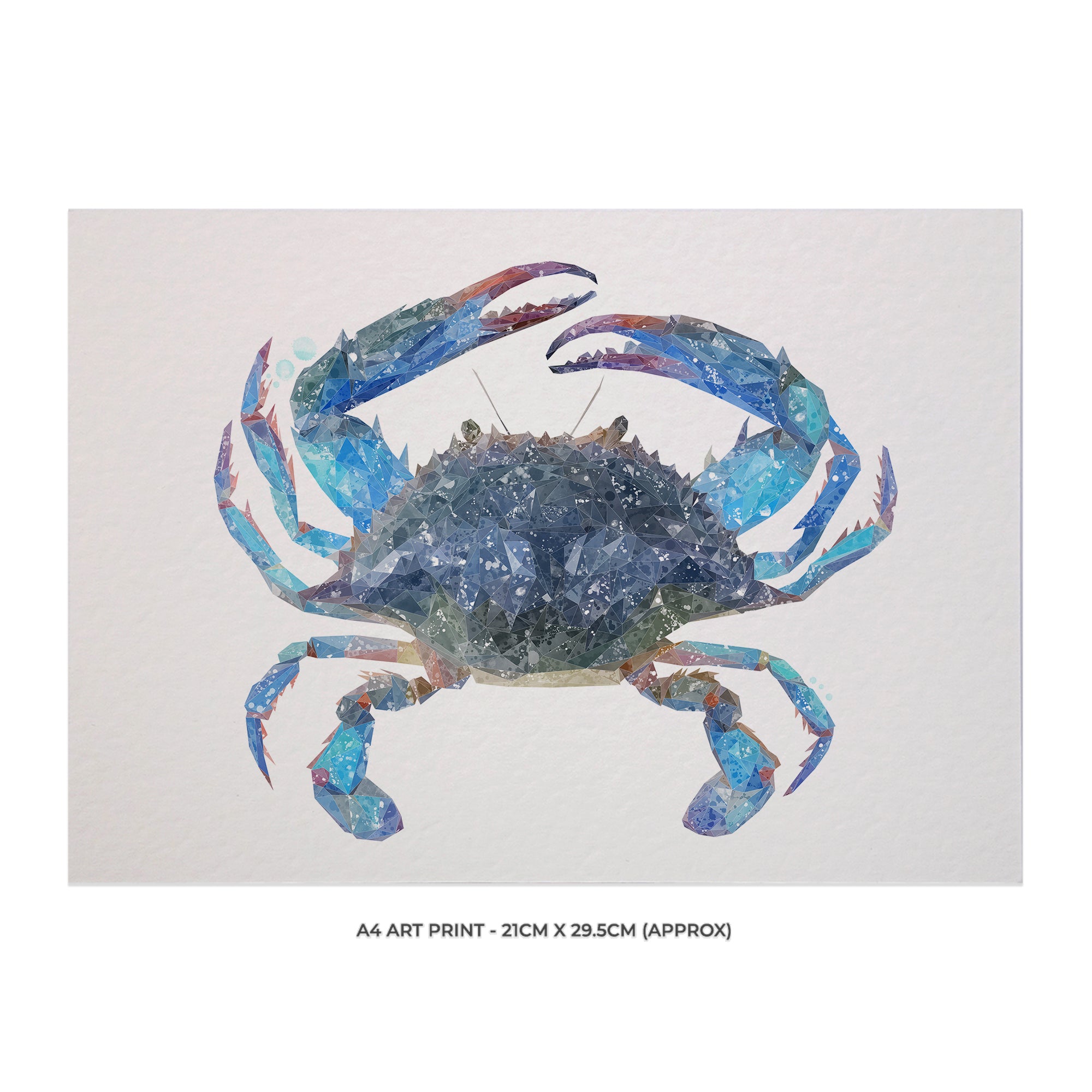 NEW! "Calli" The Blue Crab A4 Unframed Art Print (Copy) - Andy Thomas Artworks