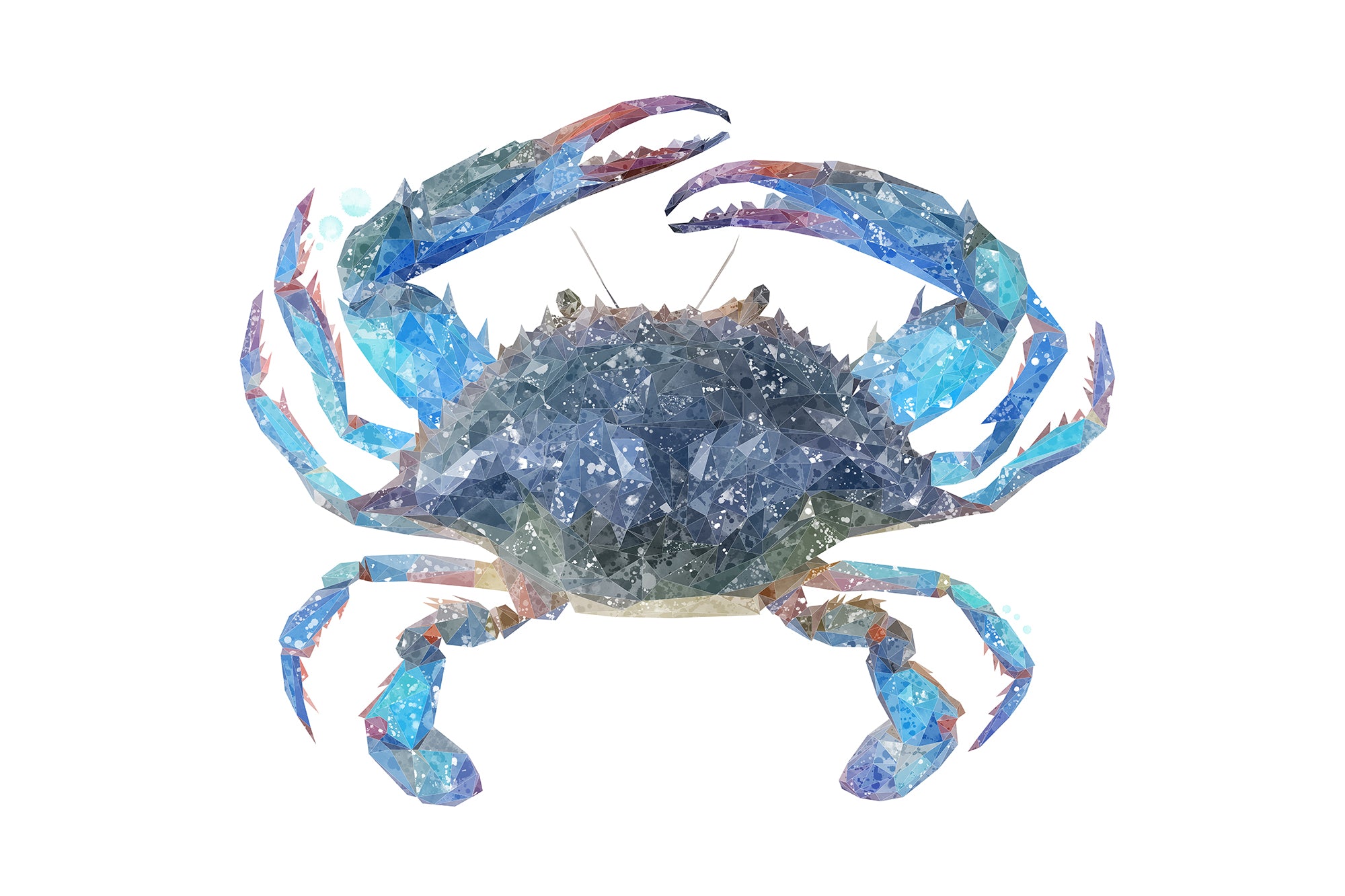 NEW! "Calli" The Blue Crab Glass Wall Art