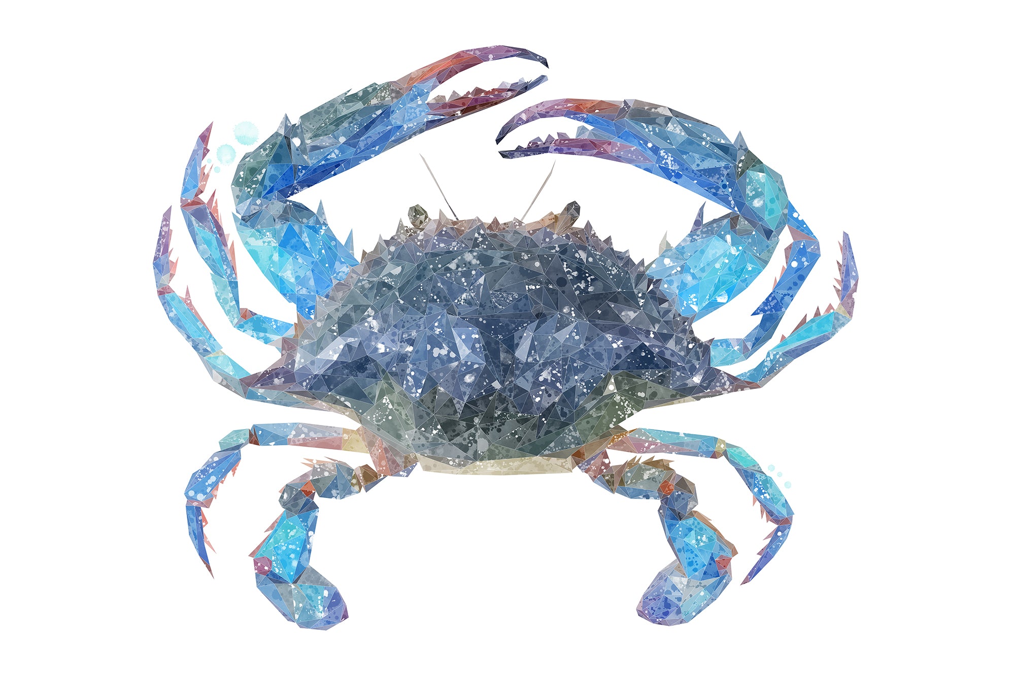 NEW! "Calli" The Blue Crab Glass Wall Art