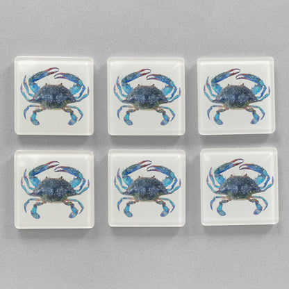 NEW! "Calli" Blue Crab Premium Glass Coasters - Andy Thomas Artworks