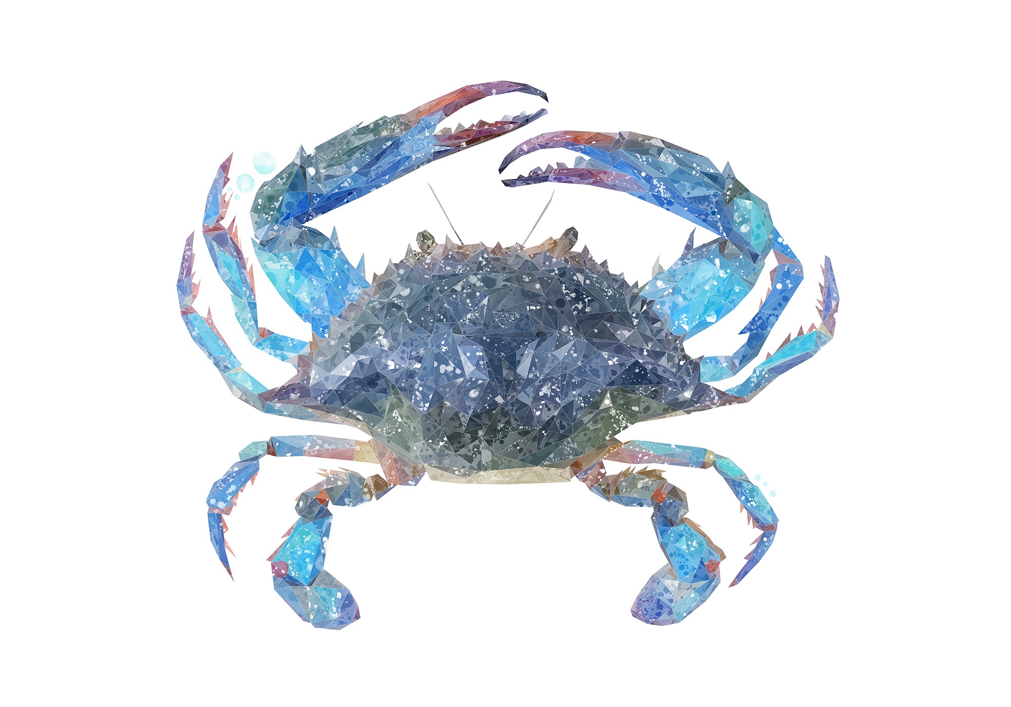 NEW! "Calli" The Blue Crab Kitchen Splashback - Andy Thomas Artworks