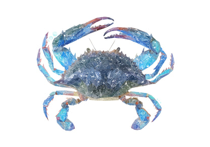 NEW! "Calli" The Blue Crab Kitchen Splashback - Andy Thomas Artworks