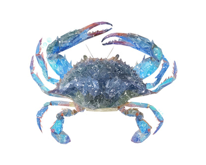 NEW! "Calli" The Blue Crab Kitchen Splashback - Andy Thomas Artworks