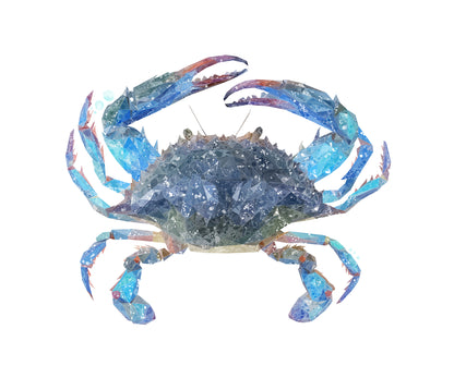 NEW! "Calli" The Blue Crab Kitchen Splashback - Andy Thomas Artworks