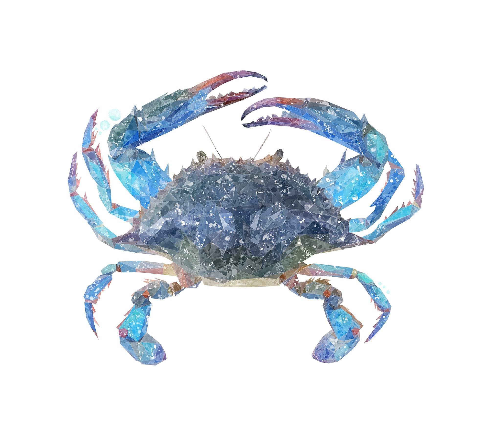 NEW! "Calli" The Blue Crab Kitchen Splashback - Andy Thomas Artworks