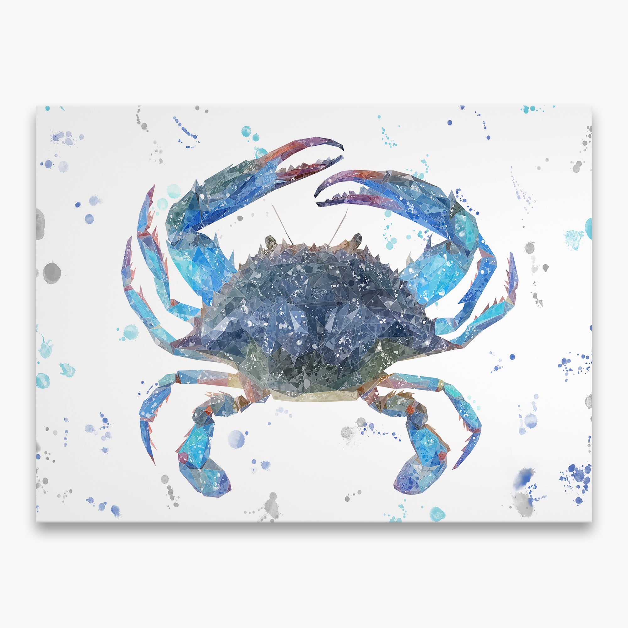 NEW! "Calli" The Blue Crab Canvas Print