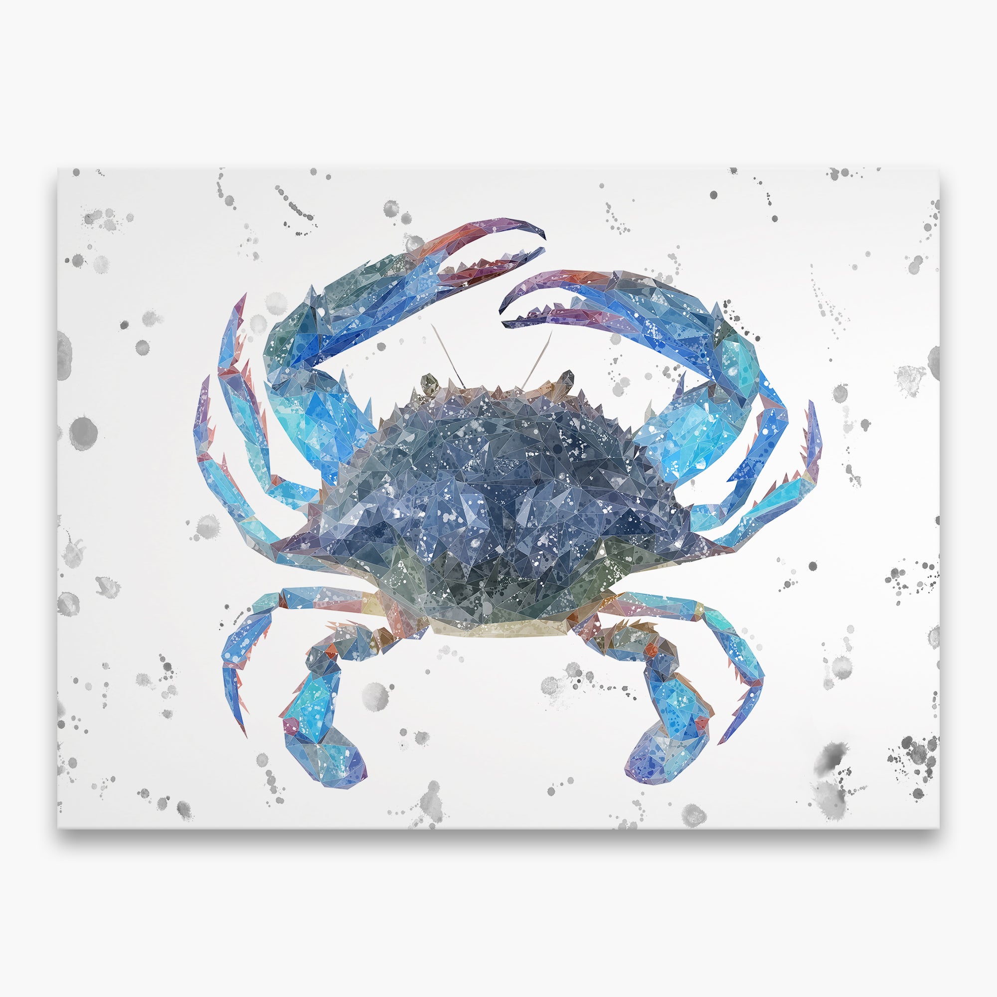 NEW! "Calli" The Blue Crab (Grey Background Splashes) Canvas Print