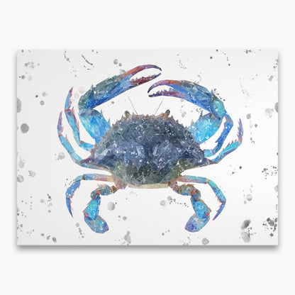 NEW! "Calli" The Blue Crab (Grey Background Splashes) Canvas Print