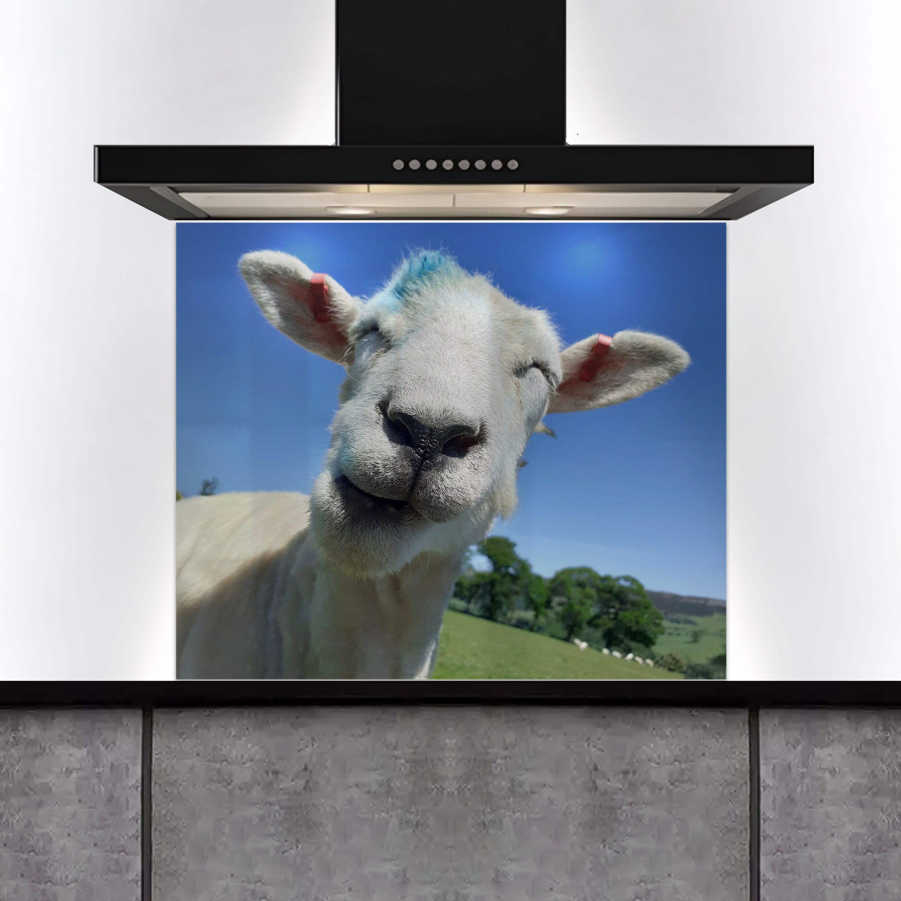 Custom Listing for LP - Customer Photo - 900 wide  x 750h - ADH