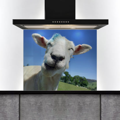 Custom Listing for LP - Customer Photo - 900 wide  x 750h - ADH