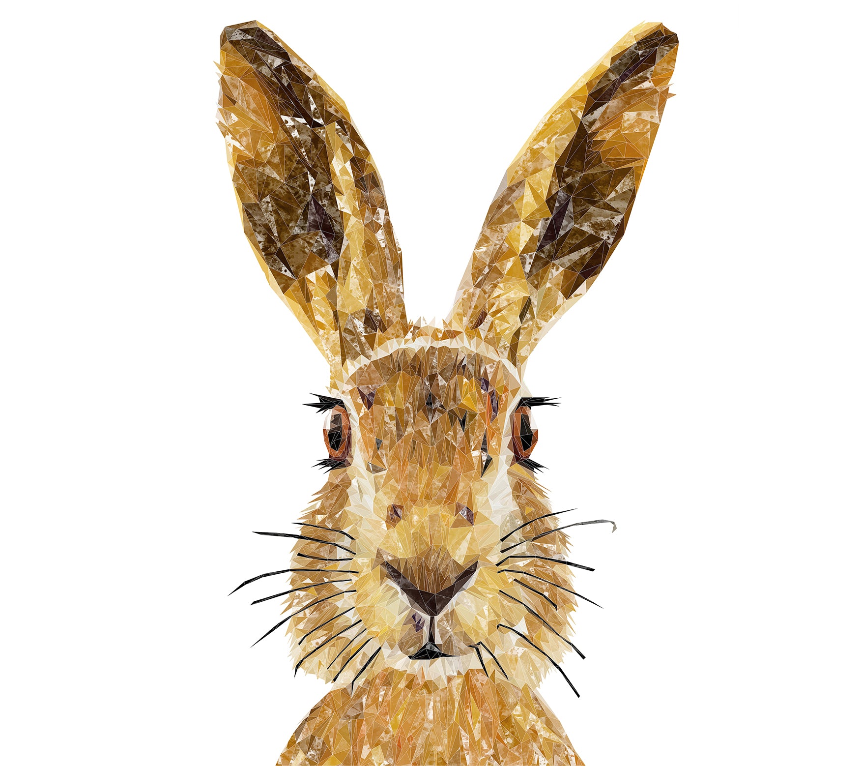 Custom Listing for LR The Hare - 900mm wide X 800mm high - SCREWHOLES for fitting