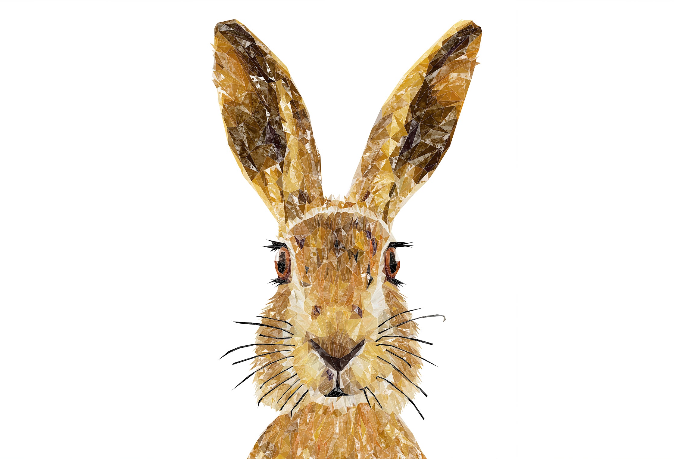 Custom Listing for MD - The Hare 830w x 581h - SCREWHOLES