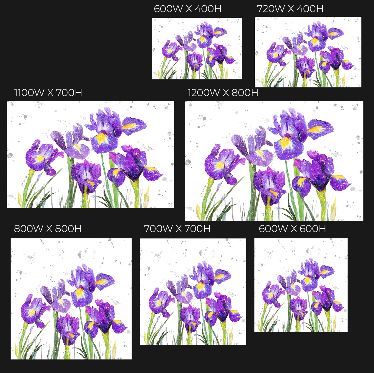 NEW! "Purple Haze" Iris Grey Background Glass Wall Art