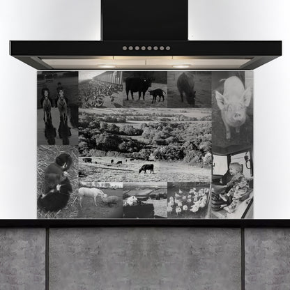 Custom Listing for TG - CUSTOMER PHOTOS 1500w x 1000h - ADH