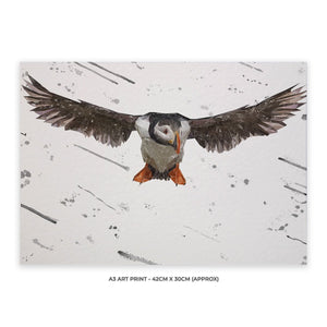 "Frank" The Puffin (Grey Background) A3 Unframed Art Print - Andy Thomas Artworks