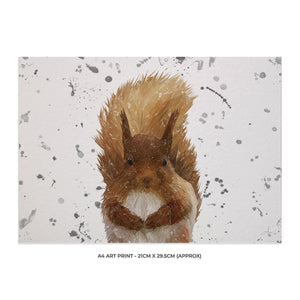 "Ellis" The Red Squirrel (Grey Background) Landscape A4 Unframed Art Print - Andy Thomas Artworks