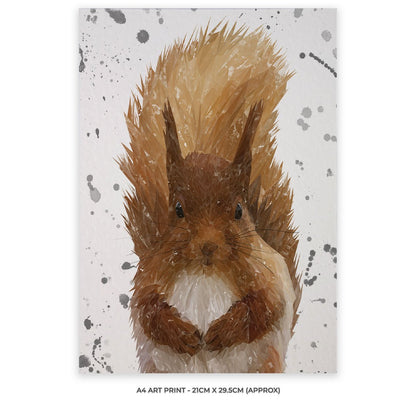 "Ellis" The Red Squirrel (Grey Background) A4 Unframed Art Print - Andy Thomas Artworks