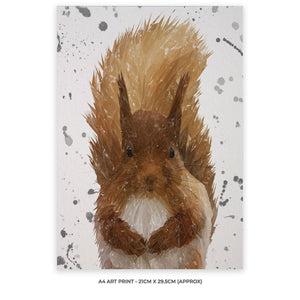 "Ellis" The Red Squirrel (Grey Background) A4 Unframed Art Print - Andy Thomas Artworks