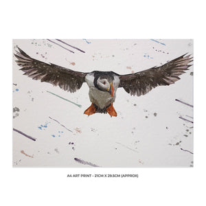 "Frank" The Puffin A4 Unframed Art Print - Andy Thomas Artworks