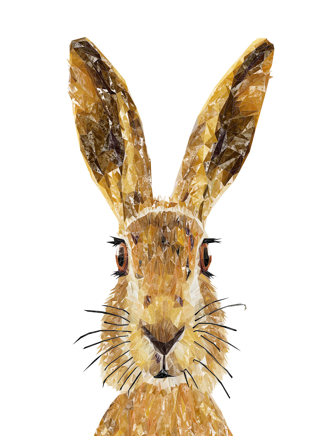 "The Hare" Canvas Print