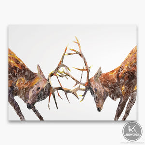 "The Showdown" Rutting Stags Canvas Print