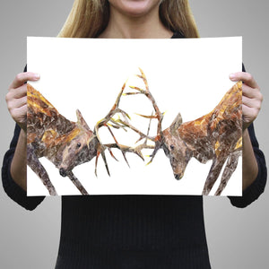 "The Showdown" Rutting Stags Unframed Art Print - Andy Thomas Artworks
