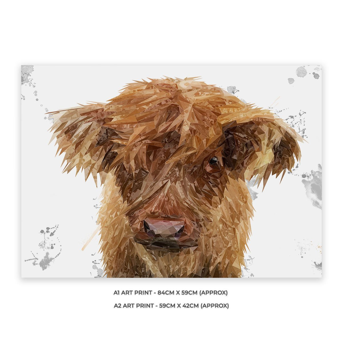 "Peeps" The Highland Calf Unframed Art Print - Andy Thomas Artworks