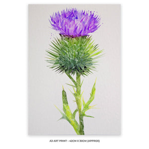 The Thistle (Portrait) A3 Unframed Art Print - Andy Thomas Artworks