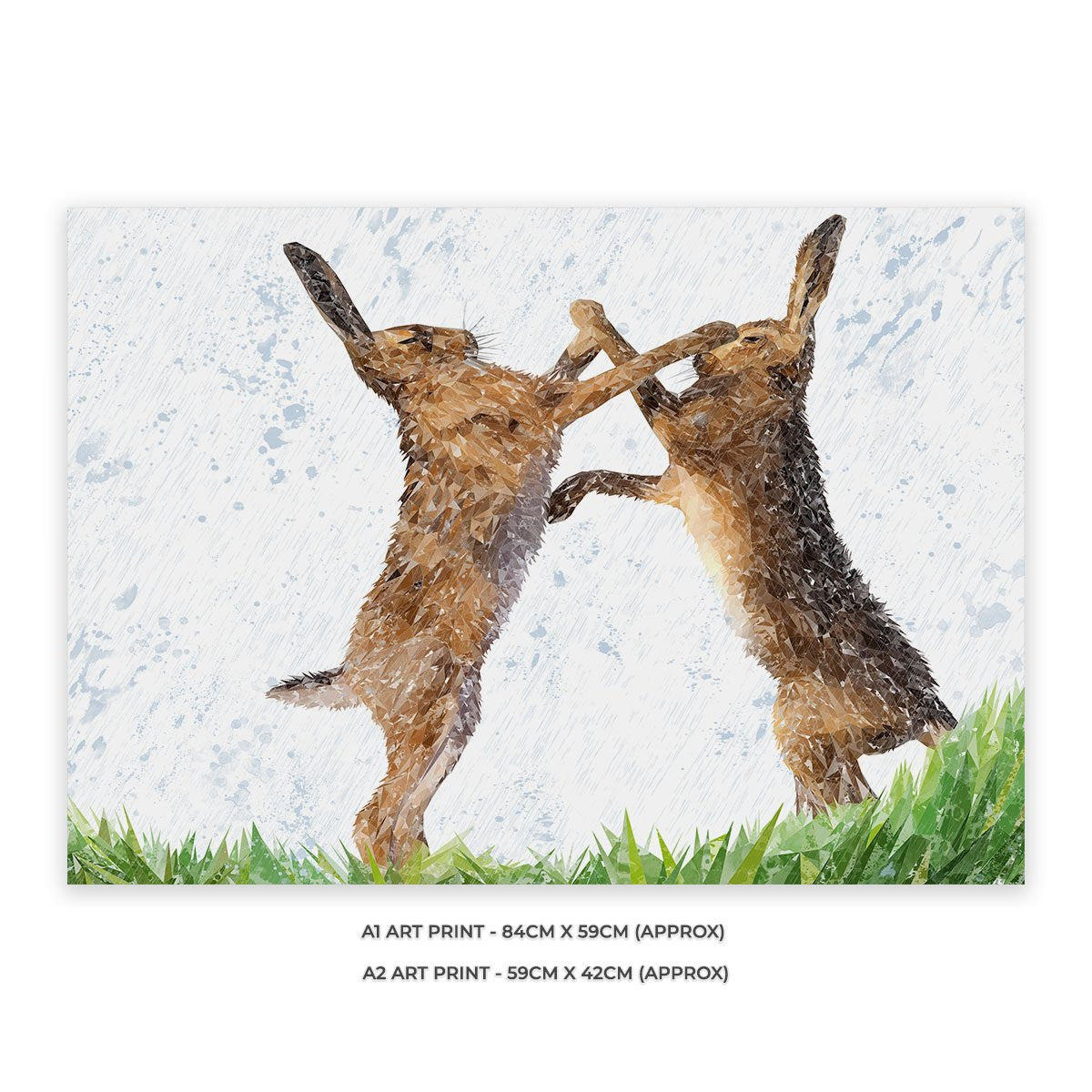 "The Standoff" Fighting Hares Unframed Art Print - Andy Thomas Artworks