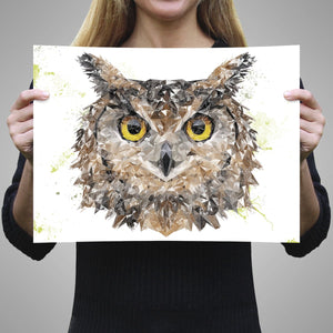 "Brown Owl" Unframed Art Print - Andy Thomas Artworks