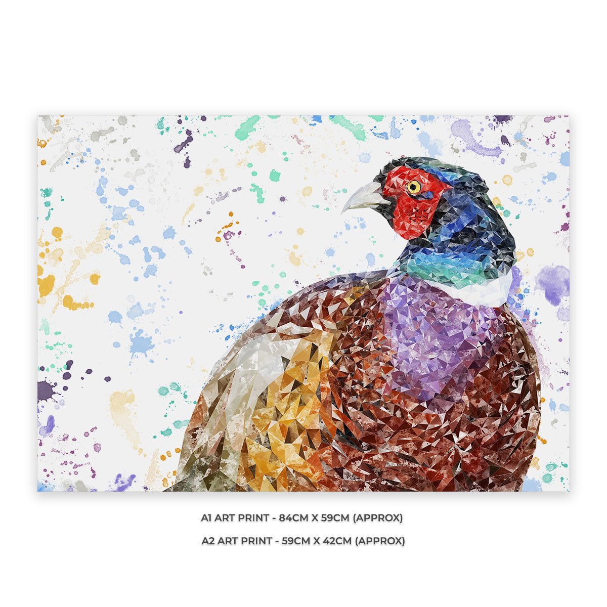 "Marty" The Pheasant Unframed Art Print - Andy Thomas Artworks