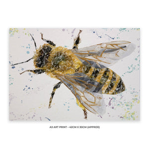 "The Honey Bee" A3 Unframed Art Print - Andy Thomas Artworks