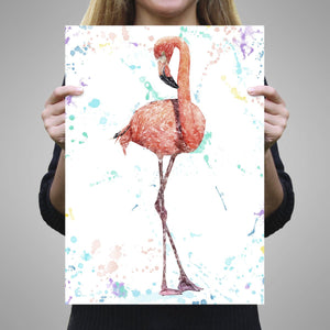 "The Colourful Flamingo" Unframed Art Print - Andy Thomas Artworks