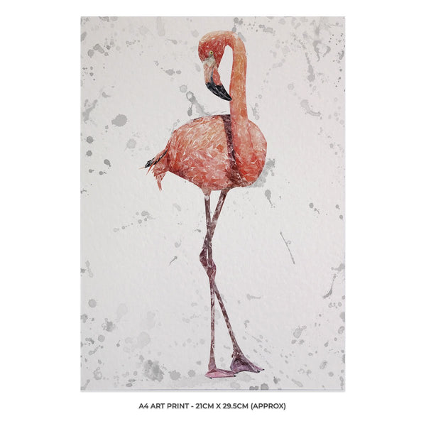 The Flamingo Grey Background 10 x 8 Unframed Art Print
