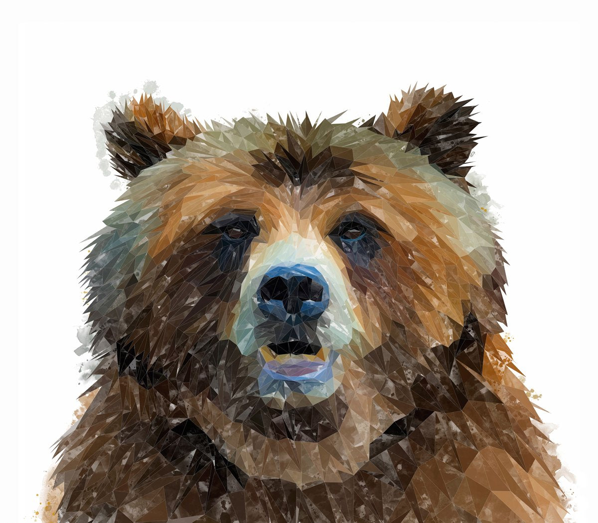 "Monty" The Brown Bear Kitchen Splashback