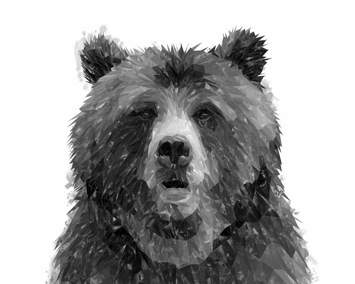 "Monty" The Brown Bear (B&W) Kitchen Splashback