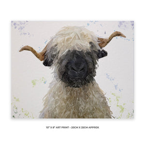 "Betty" The Valais Blacknose Sheep 10" x 8" Unframed Art Print - Andy Thomas Artworks