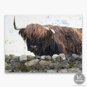 "Freya" The Highland Cow from Applecross Canvas Print
