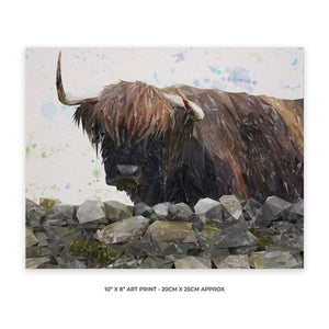 "Freya" The Highland Cow from Applecross 10" x 8" Unframed Art Print - Andy Thomas Artworks