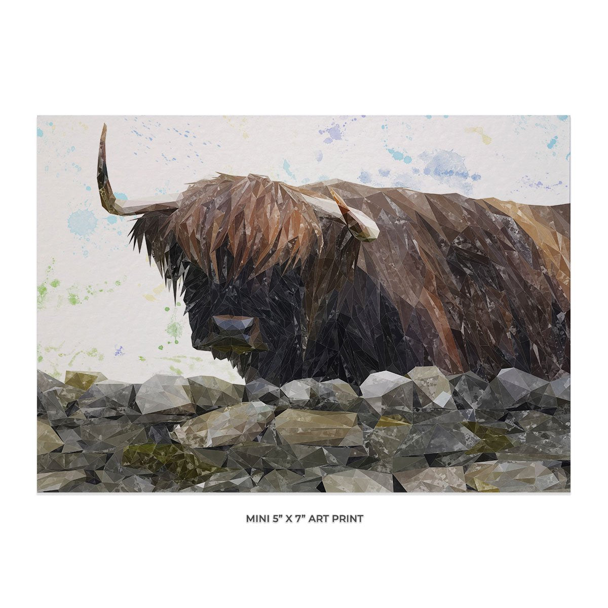 "Freya" The Highland Cow from Applecross 5x7 Mini Print - Andy Thomas Artworks