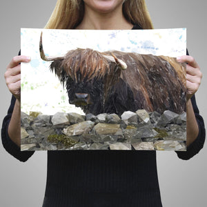"Freya" The Highland Cow from Applecross Unframed Art Print - Andy Thomas Artworks