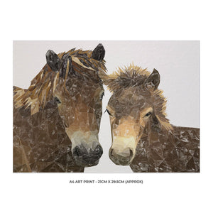 "The Exmoor Pair" Emoor Ponies A4 Unframed Art Print - Andy Thomas Artworks