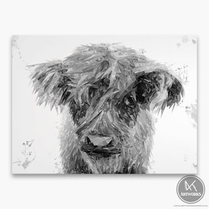 "Peeps" The Highland Calf (B&W) Canvas Print