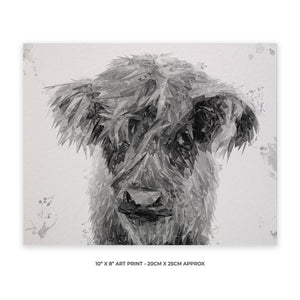 "Peeps" The Highland Calf (B&W) 10" x 8" Unframed Art Print - Andy Thomas Artworks
