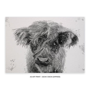"Peeps" The Highland Calf (B&W) A3 Unframed Art Print - Andy Thomas Artworks