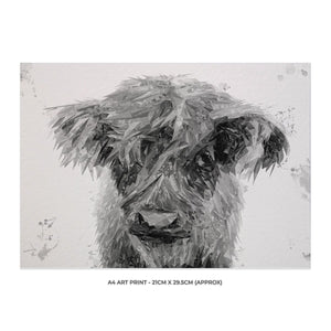 "Peeps" The Highland Calf (B&W) A4 Unframed Art Print - Andy Thomas Artworks